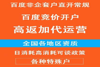 深度解析：百度竞价账户托管的成功秘诀